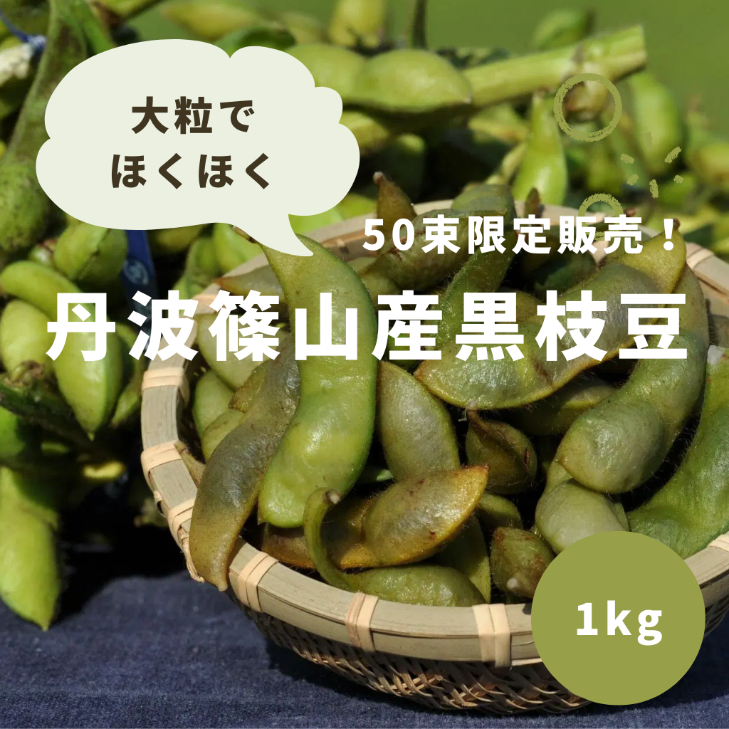 丹波篠山産黒枝豆、解禁です!