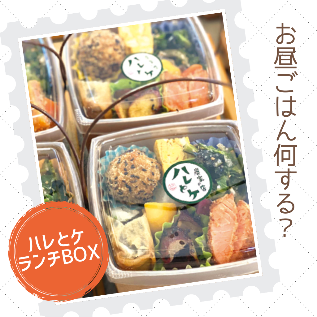 11月29日 ハレとケ