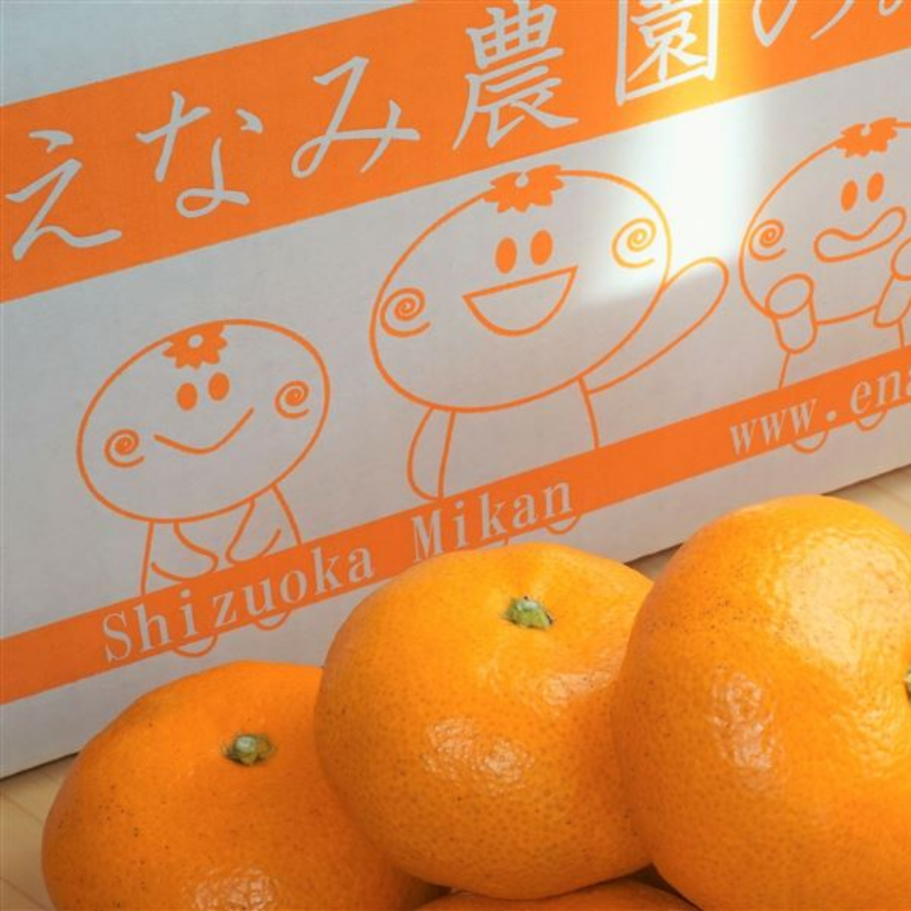 1月19日 えなみ農園