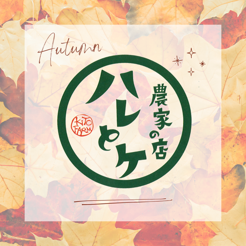 10月4日 価格変更