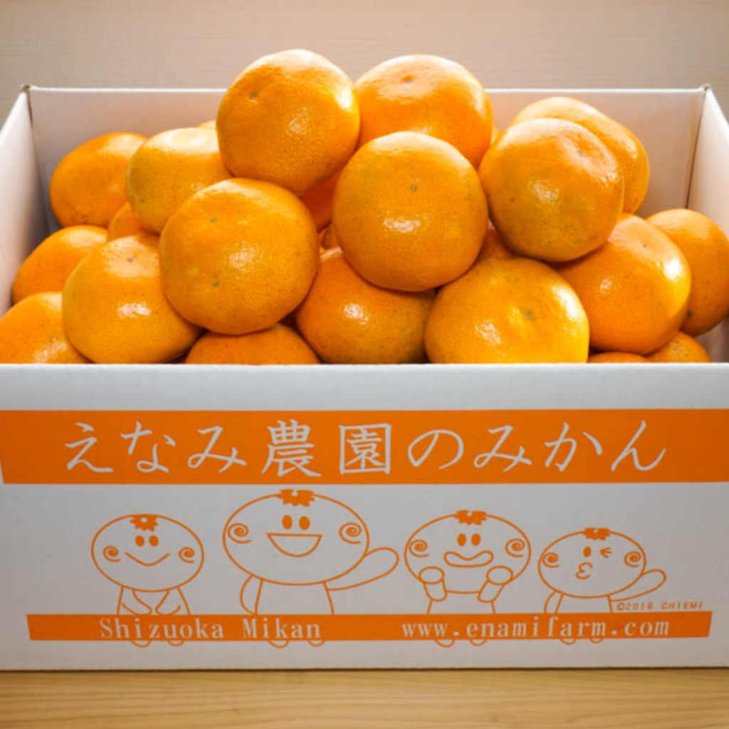 1月26日 みかん食べ比べ!