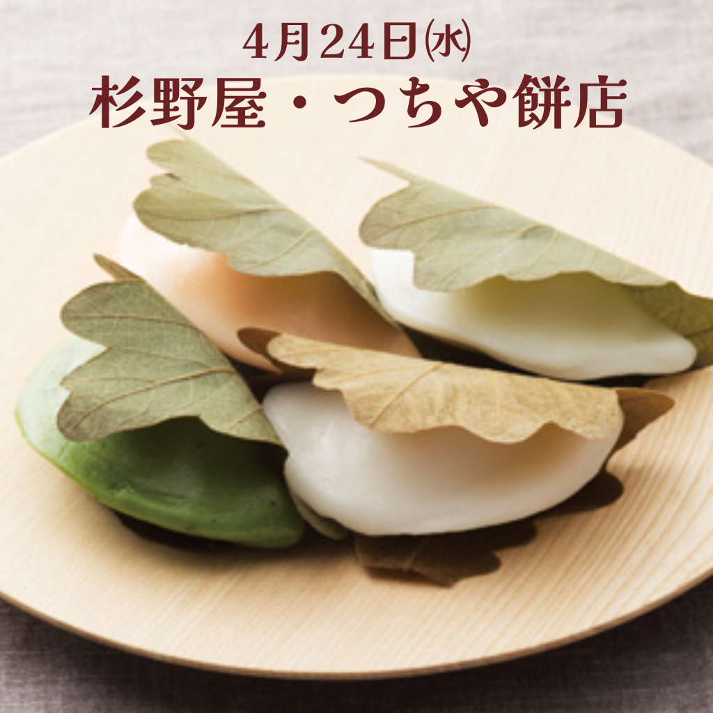 2024.4.24 かしわ餅 食べ比べ