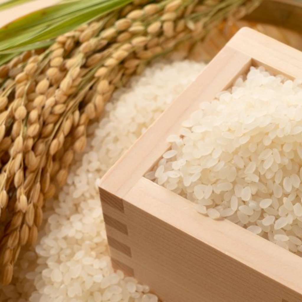 おむすびのお店「はせがわ」6月のセレクト米
