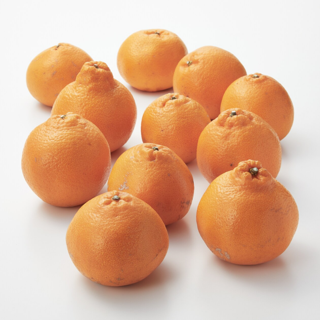 2月16日 えなみ農園『はるみ』