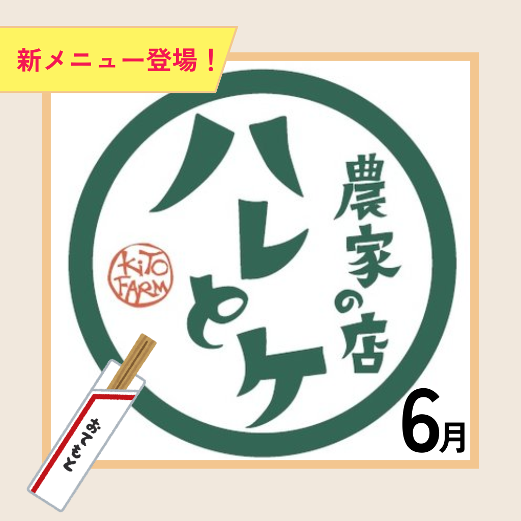新メニュー登場!