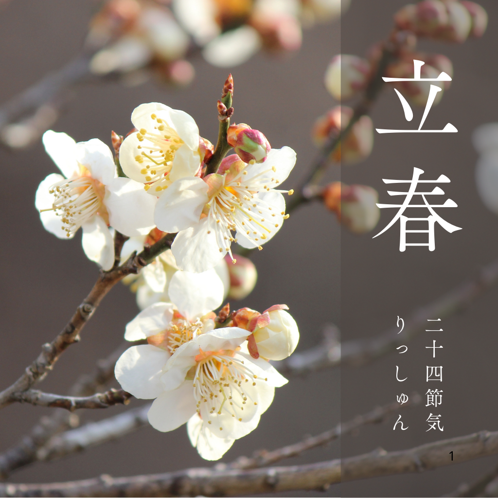 ２月４日　暦のうえでは春
