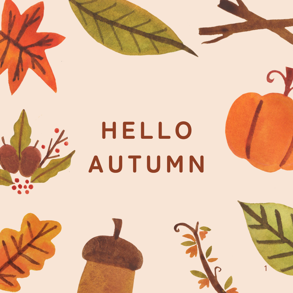 11月3日　秋はどこへ…？