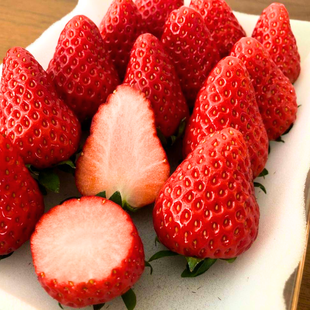 ２月９日　農園いちご