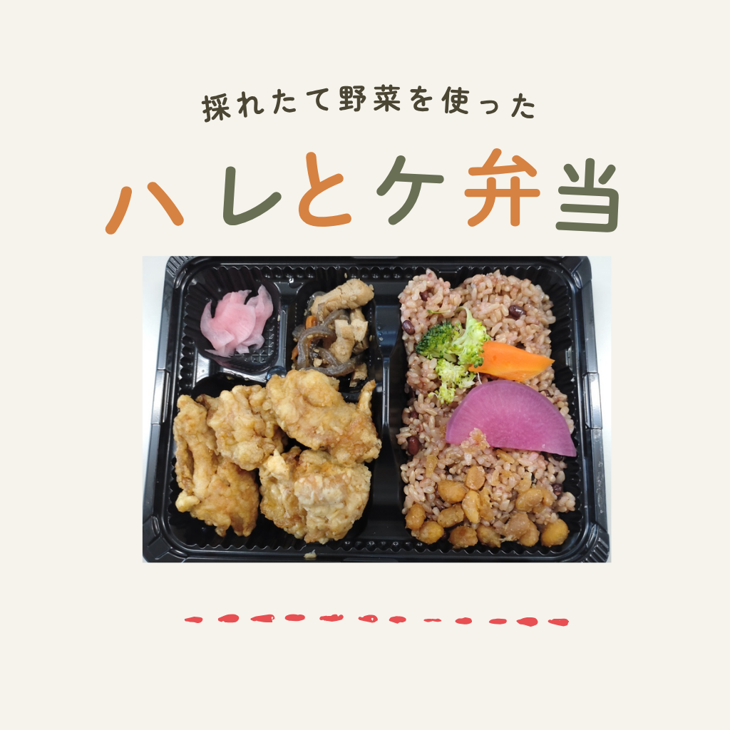 5月8日　ハレとケ弁当
