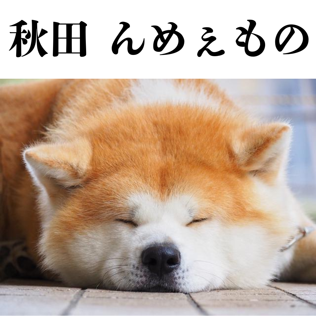 ４月17日　秋田フェア