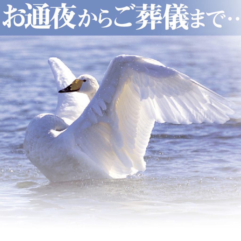 ２月13日　はまそう会館