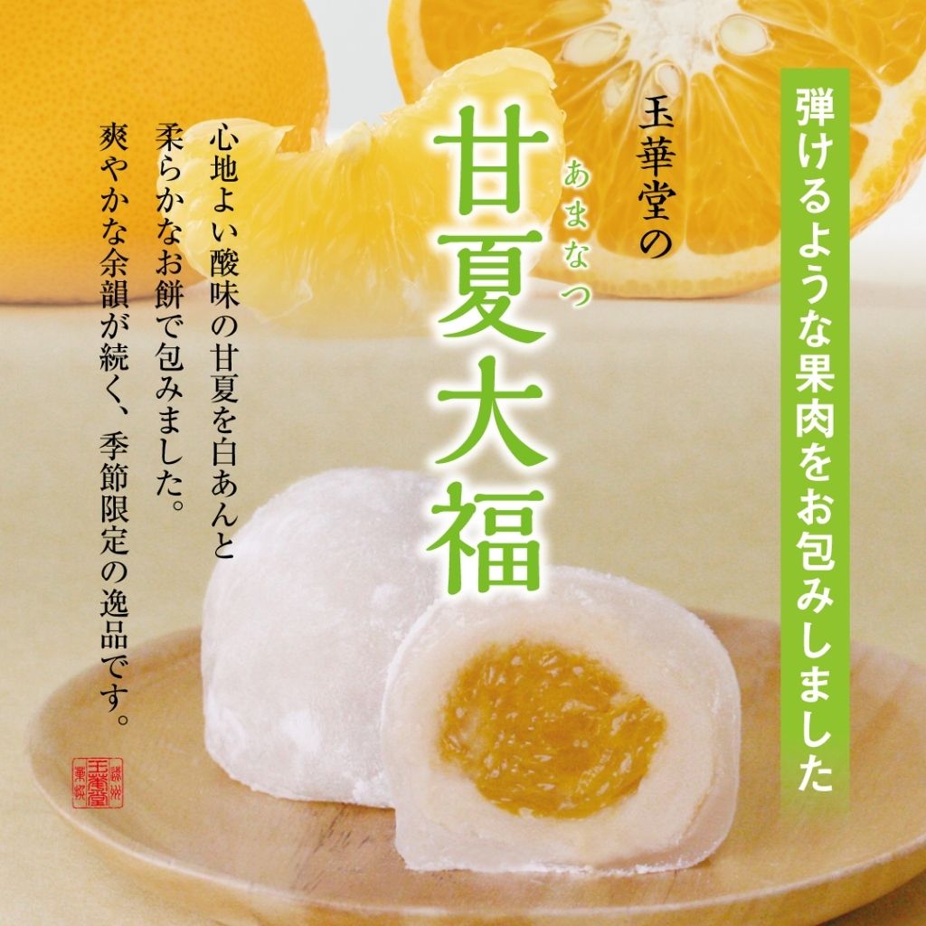 ７月14日　玉華堂