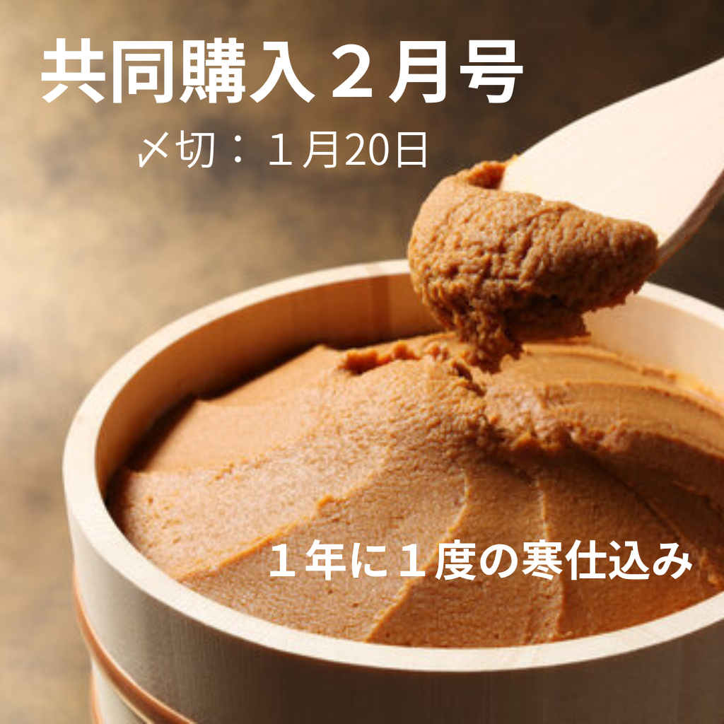 共同購入２月号　斡旋中