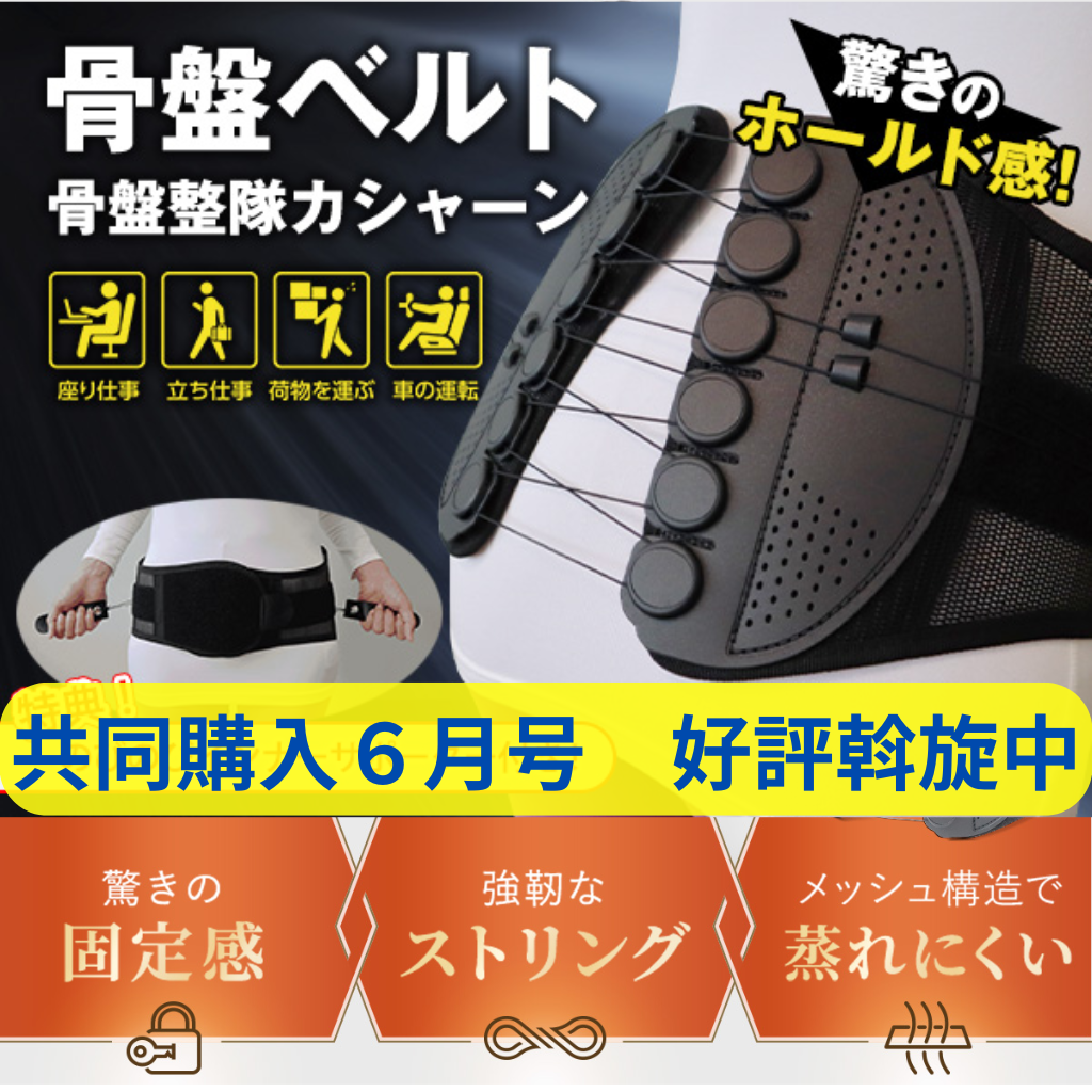 特別価格『骨盤整隊カシャーン』